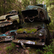 Illustration for article titled Get Lost In Europes Largest Car Cemetery Hidden In The Swedish Woods